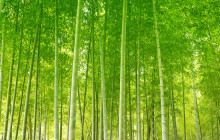 Machinovate Japan Ltd7