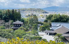 Machinovate Japan Ltd10