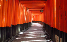 Machinovate Japan Ltd4