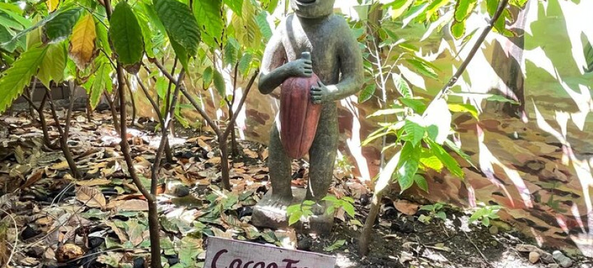 Sabor Dominicano: Rum, Chocolate and Culture Tour
