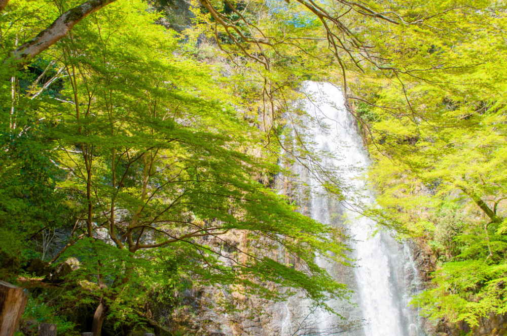 Osaka Excursion: Daruma at Katsuoji Temple & Minoh Falls