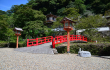 Machinovate Japan Ltd4