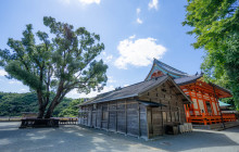 Machinovate Japan Ltd5