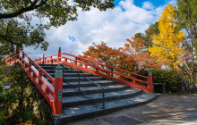 Machinovate Japan Ltd7