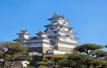 Machinovate Japan Ltd1