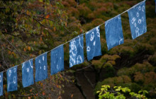 Machinovate Japan Ltd2