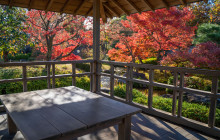 Machinovate Japan Ltd9