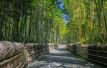 Machinovate Japan Ltd4