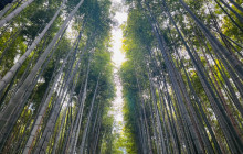 Machinovate Japan Ltd5