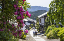 Machinovate Japan Ltd3
