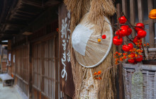 Machinovate Japan Ltd9