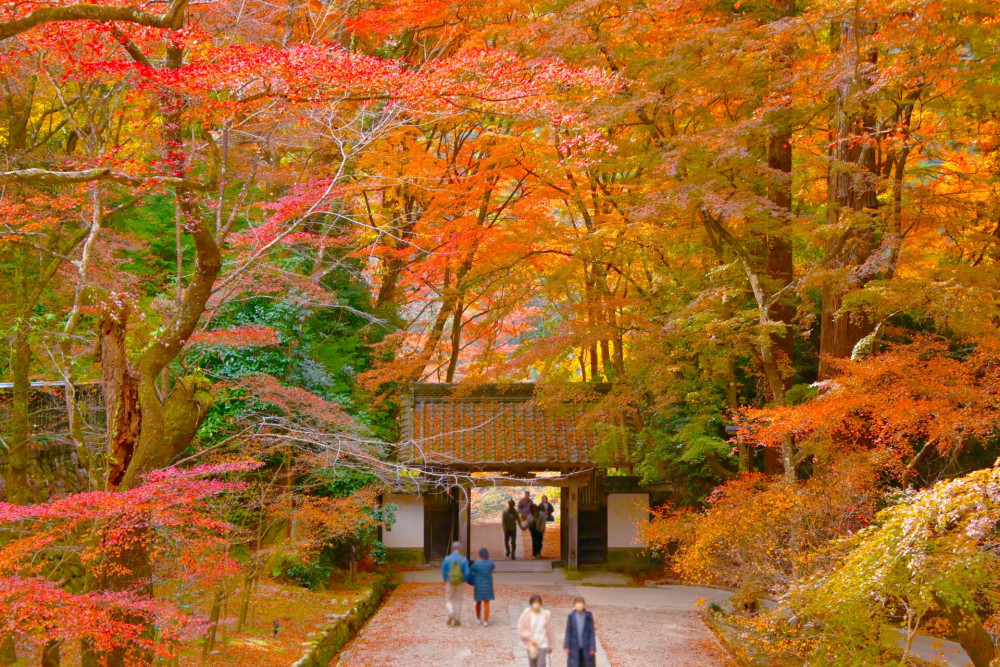 1-Day Tour from Nagoya to Korankei Gorge, Fox Shrine, and Craft Village