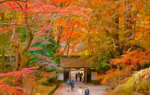 Machinovate Japan Ltd1