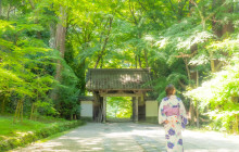 Machinovate Japan Ltd4