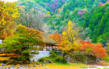 Machinovate Japan Ltd5