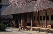 Machinovate Japan Ltd6