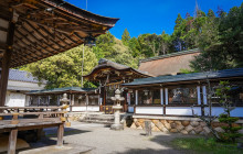 Machinovate Japan Ltd3