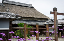 Machinovate Japan Ltd9