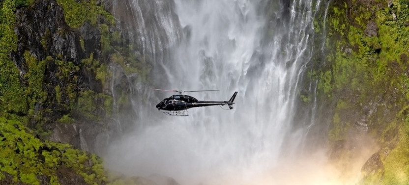 Fiordland's Finest Private Charter