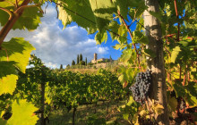 Ciao Florence Tours and Travels Srl4