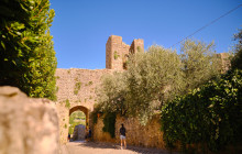 Ciao Florence Tours and Travels Srl15