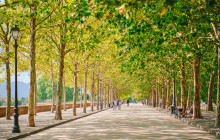 Ciao Florence Tours and Travels Srl12