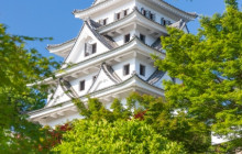 Machinovate Japan Ltd9