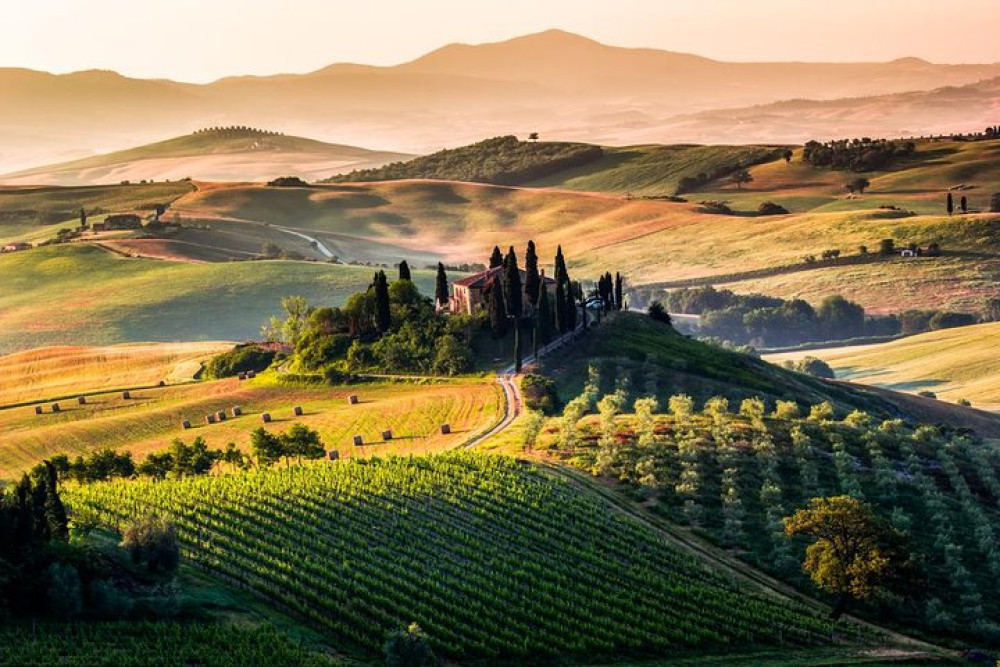 Val D'orcia: Montalcino, Pienza, Montepulciano Full Day Private Tour