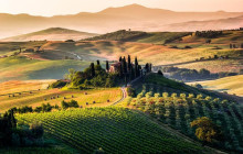 Ciao Florence Tours and Travels Srl1