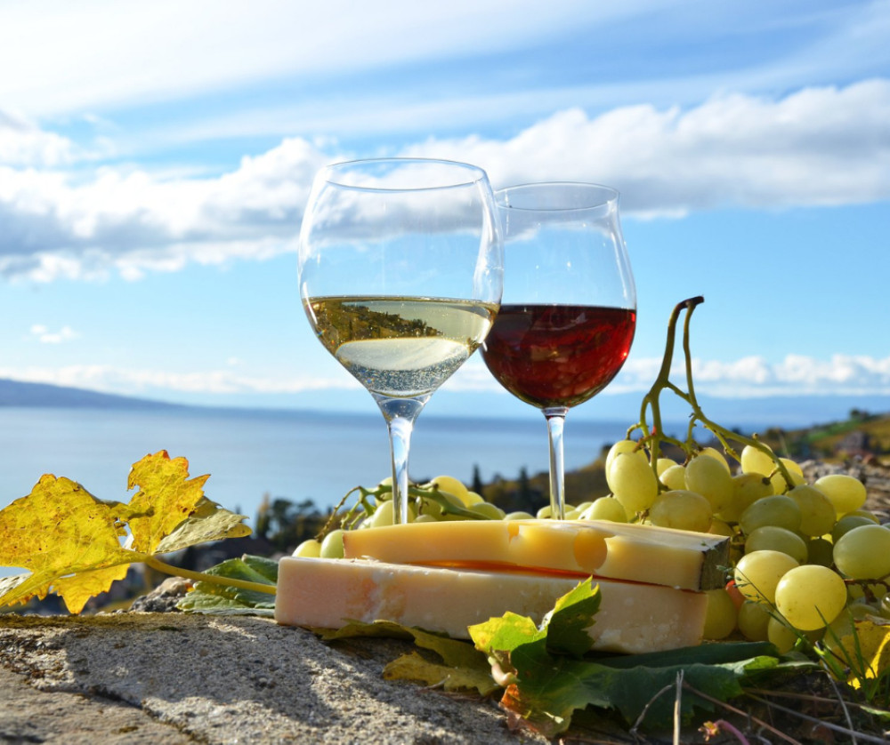 Teide with winery visit