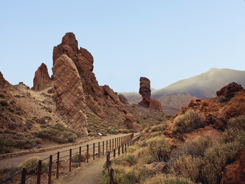 Private excursions for cruises