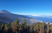 Gloma Travel19