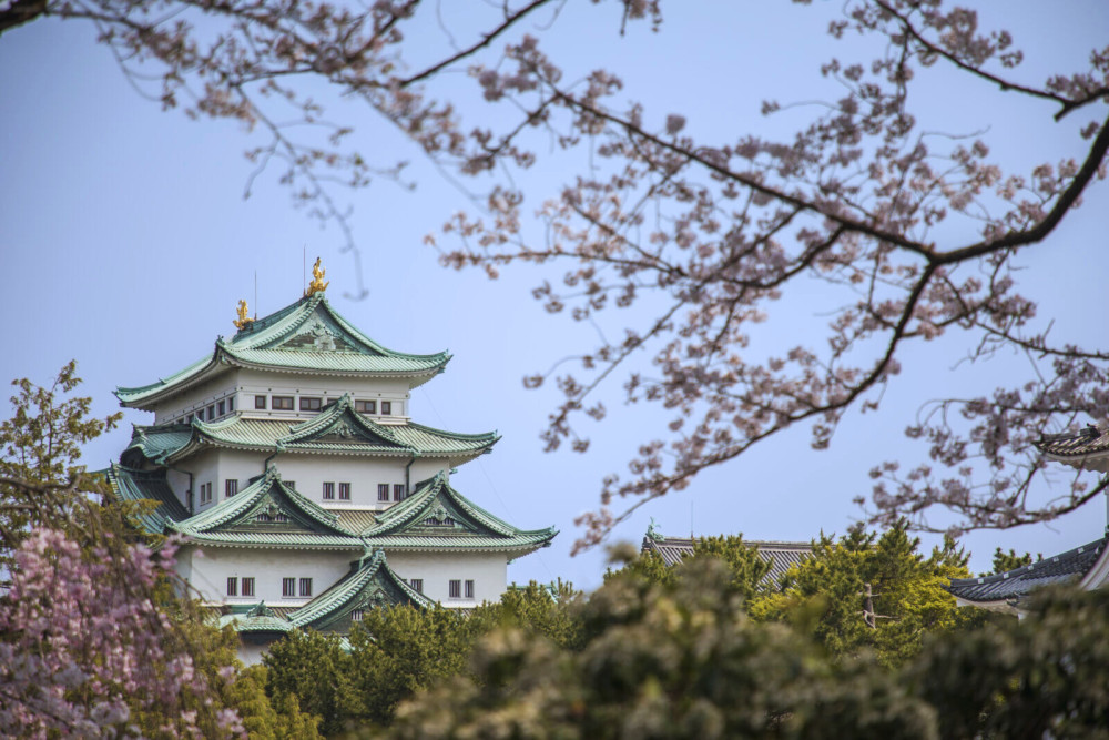 Garden Walk through Nagoya's Castle, Gardens, and Historic Estates