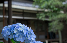 Machinovate Japan Ltd6