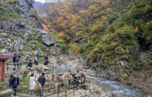 Machinovate Japan Ltd4