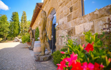 Ciao Florence Tours and Travels Srl12