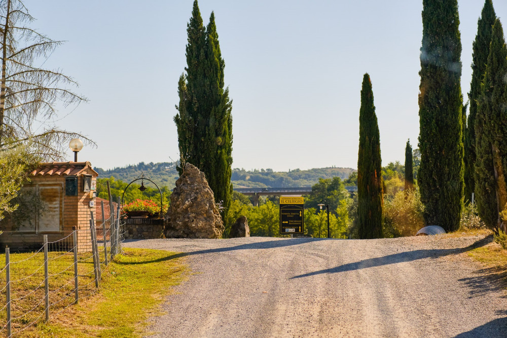 Chianti Half Day Private Tour