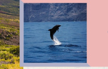 Gloma Travel6