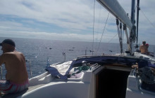 Gloma Travel12