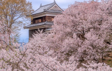 Machinovate Japan Ltd4