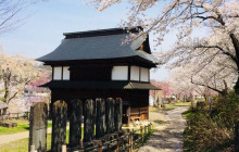 Machinovate Japan Ltd10