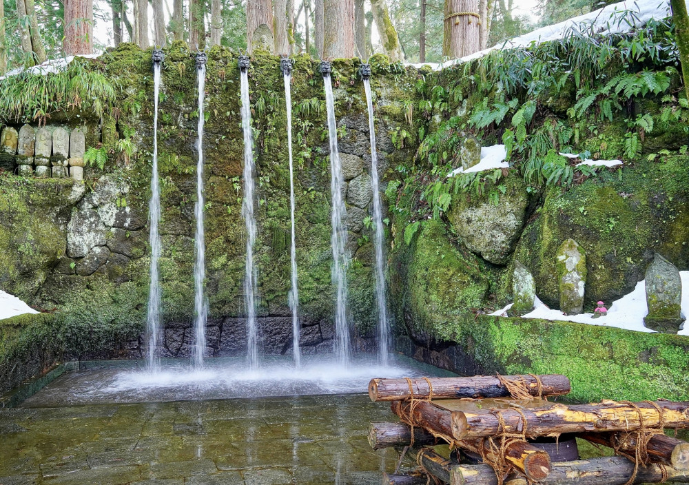 Spring Day Trip from Kanazawa and Toyama: Flowers and Mountain Views