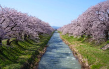 Machinovate Japan Ltd5