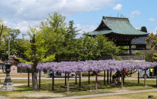Machinovate Japan Ltd3
