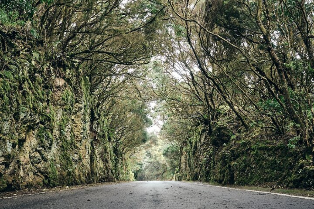 Canary Way Travel S.L.U.