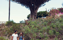 Gloma Travel6