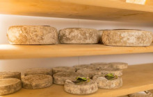 Original Food Tours4