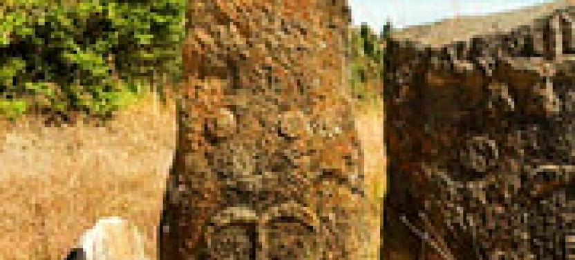 Cultural Tour to Adadi Mariya, Melka Kuntuire And Tiya Steal