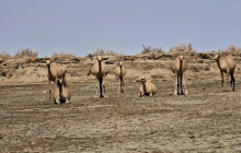 Vowland Ethiopia Tour4