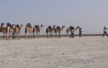 Vowland Ethiopia Tour5